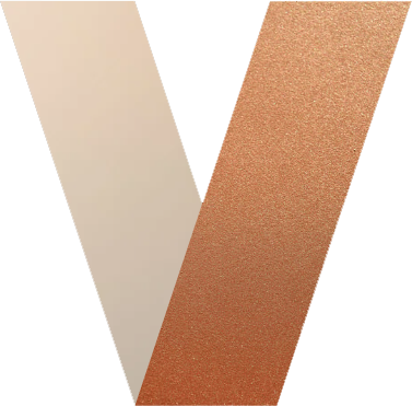 Vlear & Partner Longevity Logo