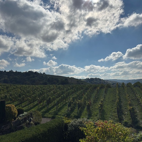 Longevity Coaching Lifestyle